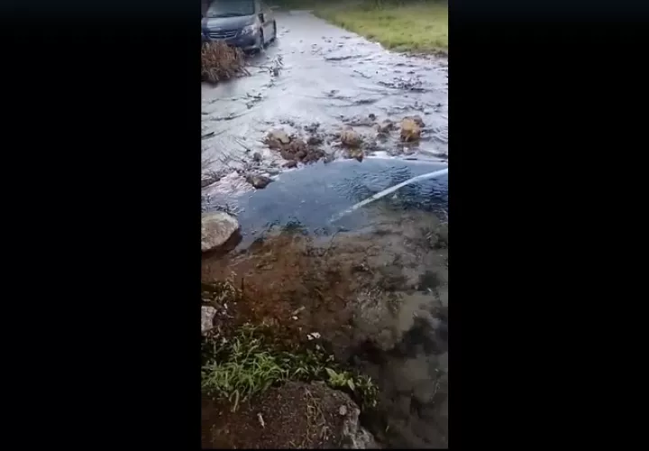 Mientras se pierden cientos de galones de agua la comunidad se mantiene sin suministro.
