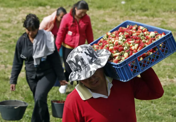 La invasión rusa a Ucrania ha hecho saltar los precios de las materias primas. EFE