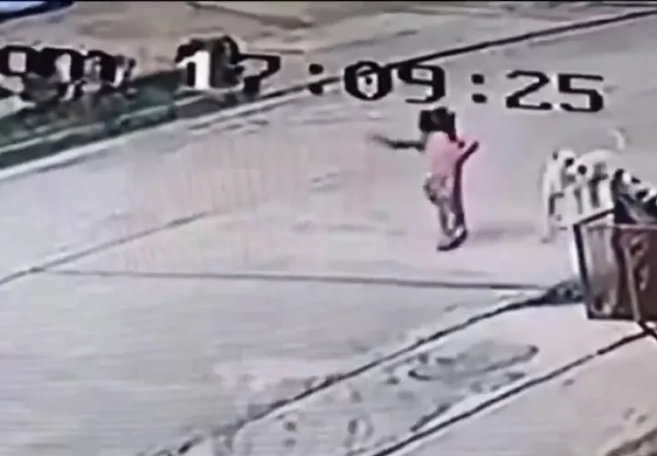 Perro se abalanza contra una niña y la muerde.