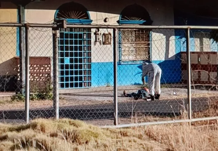 El ciudadano atacado por las abejas fue rescatado por unidades del Cuerpo de Bomberos.