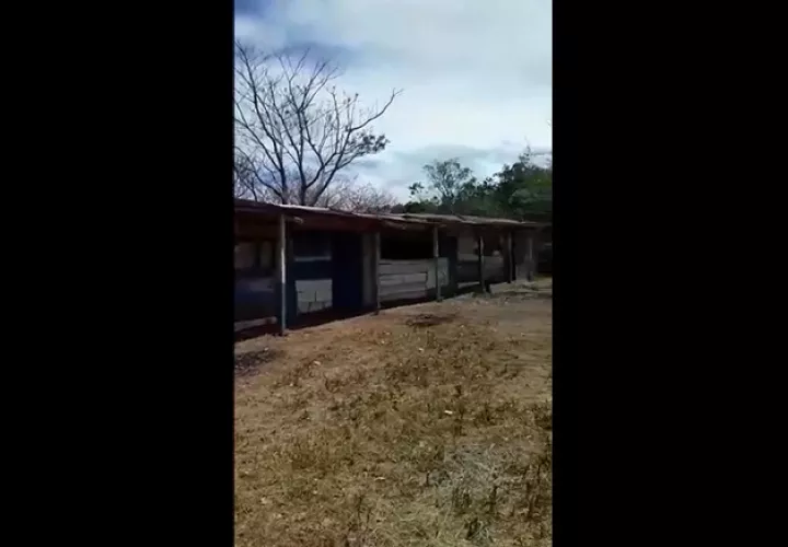 Los salones son del tamaño de un cubículo.