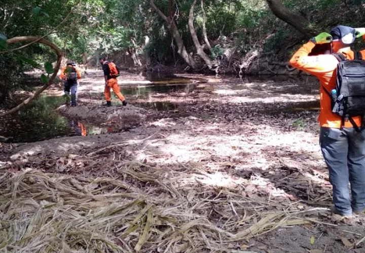 En las tareas de búsqueda, además del Sinaproc están colaborando miembros de la comunidad y familiares.
