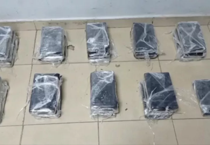 La droga estaba oculta entre unos tallos.