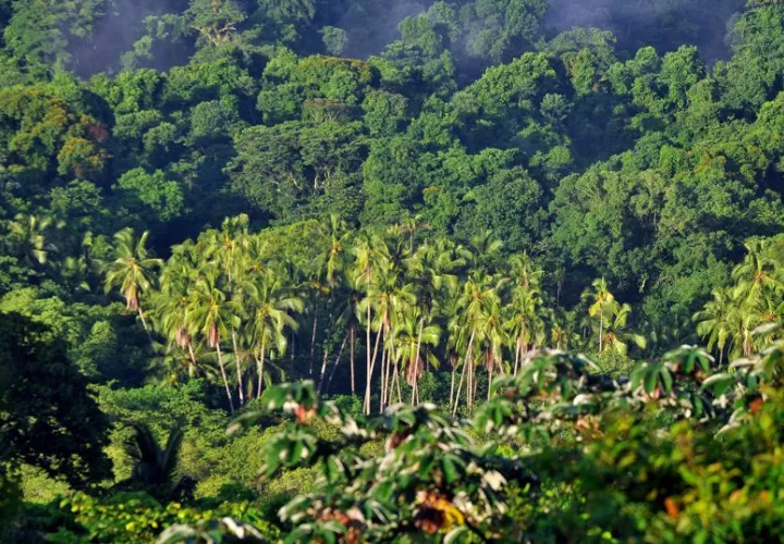 Vista de un sector del Parque Nacional Coiba, un conjunto de islas de origen volcánico ubicadas en el Pacífico panameño. EFE