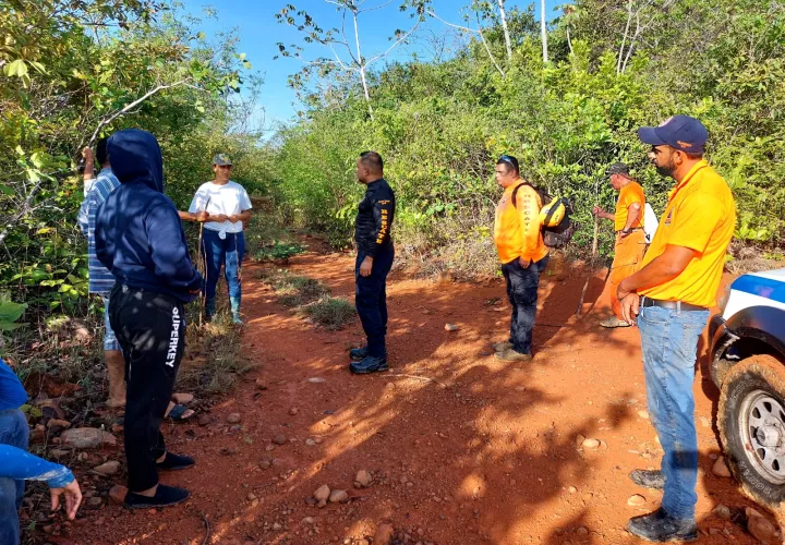 Según informes del Sinaproc en estas labores de búsqueda están cooperando familiares y vecinos de esta comunidad, los cuales se han dividido en dos grupos para cubrir las fincas de propiedad del hombre desaparecido.