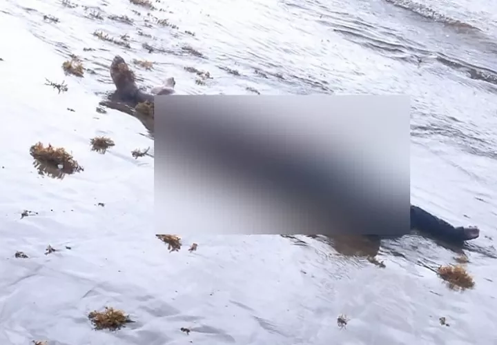 Ahogado río Saíno, en Colón.