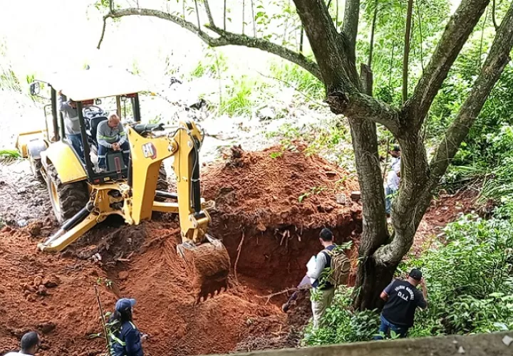 La excavación se concentró por más de dos horas en un área de terreno cerca de un árbol.