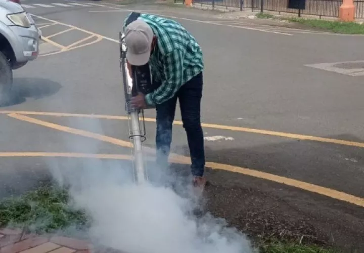 Las autoridades solicitan a la población mantener los predios de las viviendas limpios.