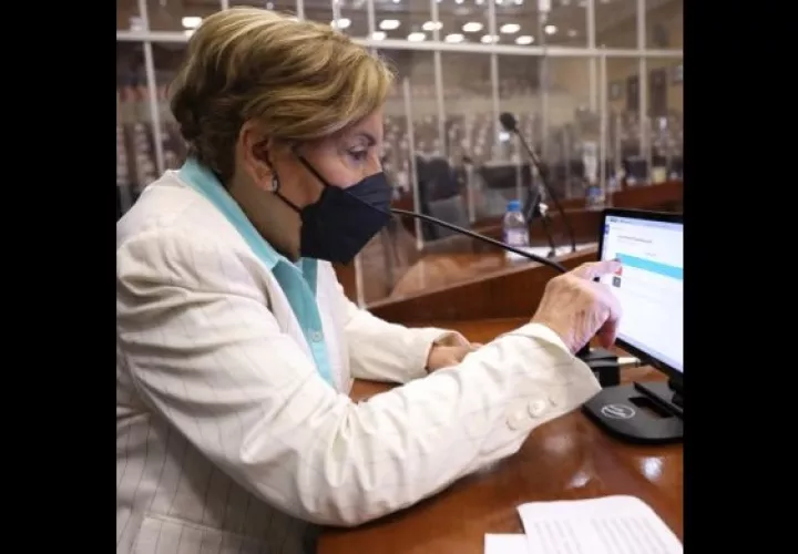 Diputada Mayín Correa