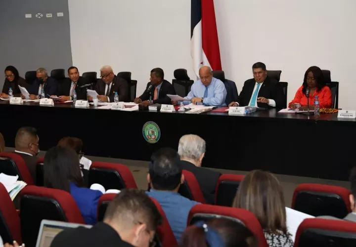Comisión de la Asamblea Nacional de Diputados.