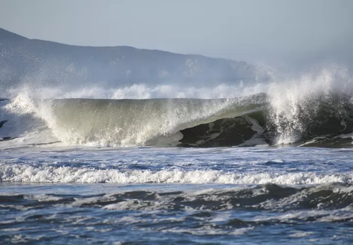 Imagen ilustrativa: Pixabay