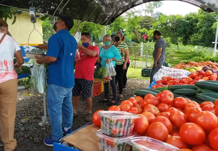 Las agro tienda son parte de las estrategias que adelanta el gobierno nacional, para aliviar el alto costo de la canasta básica