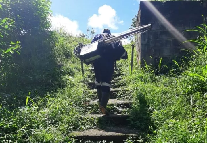 Intensifican medidas fumigación y recolección de chatarra en La Chorrera y Arraiján