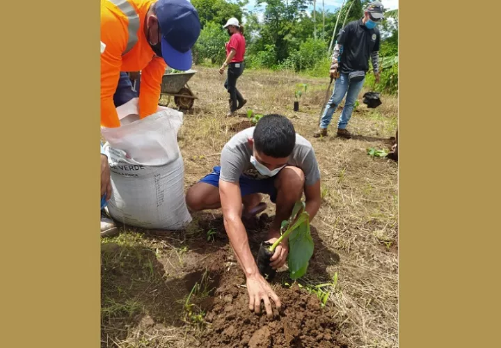 Agrónomos de Centroamérica y el Caribe se reunirán en Panamá.