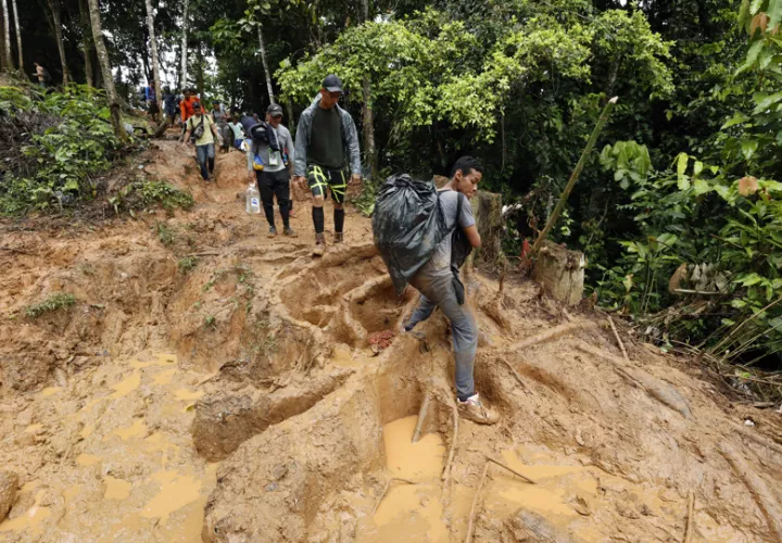 Migrantes venezolanos suben una montaña con la intención de llegar a Panamá. EFE