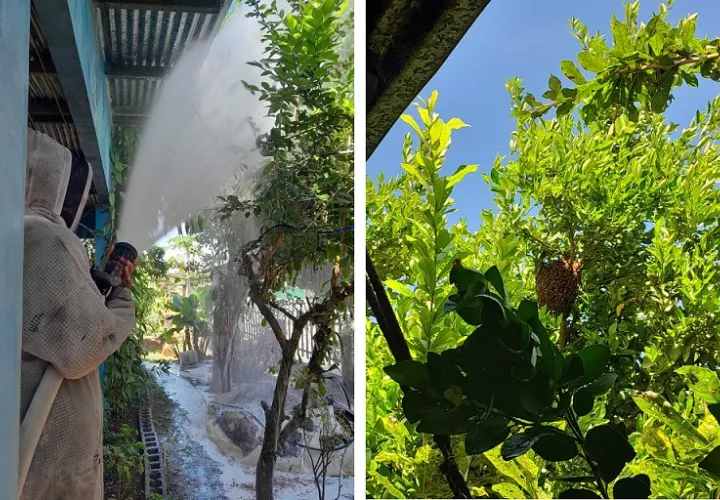 Las autoridades no han podido retirar el cadáver de la escena.