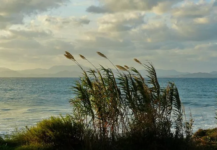 El Sinaproc solicita a la ciudadanía tomar medidas de precaución, ya que las lluvias aumentan la posibilidad que los ríos aumenten sus cauces . Imagen Pixabay