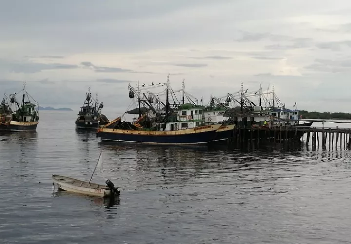 Las inquietudes de los pescadores artesanales e industriales del país fueron sustentadas durante una reunión realizada en el distrito de La Chorrera, provincia de Panamá Oeste.