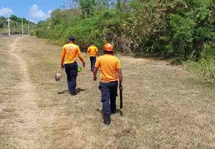 El camino que recorría Aderlyn hacia su casa se sitúa en un área bastante boscosa.