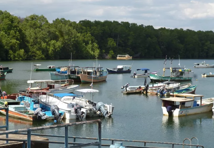 La ley a criterio de los pescadores artesanales o de sobrevivencia, es nefasta  para ellos.