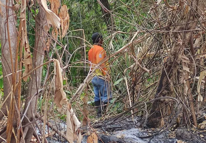 Con machete en mano en busca de la niña.  (Fotos-Video: Landro Ortíz)