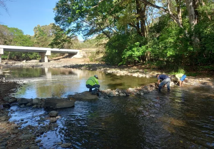 La construcción de diques estaba causando una disminución considerable en el caudal de agua requerido por la planta potabilizadora de Chame