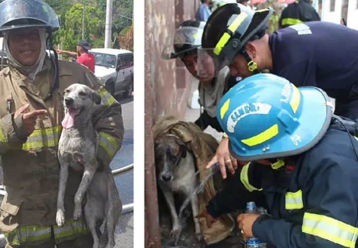 Un caso tuvo lugar en El Chorrillo y el otro en Santa Ana.