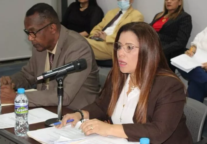 Leandro Ávila, presidente de la comisión, y Corina Cano, coordinadora de la subcomisión.