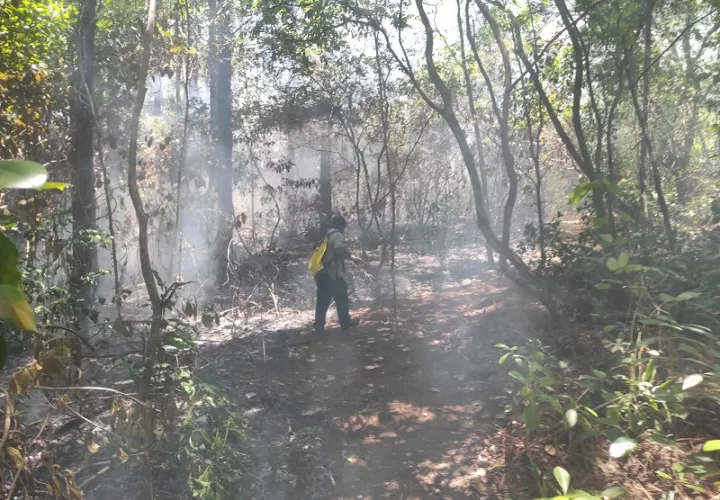  Incendio de masa vegetal en la Reserva Forestal Alto Guarumo, en Veraguas.