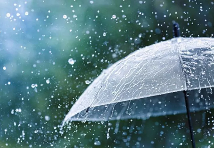 Foto: Ilustrativa /  Pixabay 