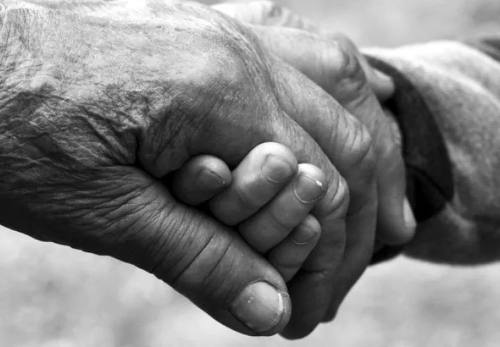 E hecho tuvo lugar en la provincia de Herrera, el pasado 1 de abril. Imagen ilustratica / Pixabay