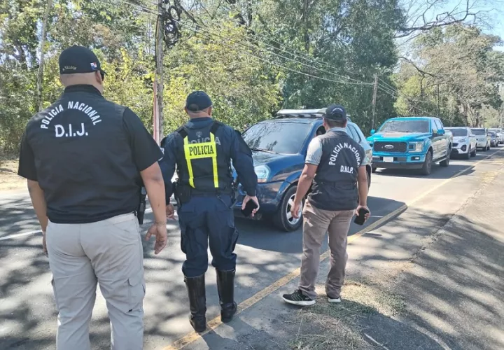 Los productores están teniendo grandes pérdidas debido a los hurtos, por lo que les urge que la situación sea atendida.