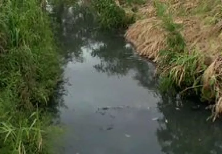 No es la primera vez que ocurre esta situación en este río.