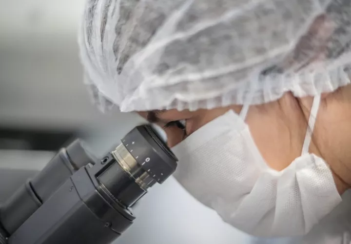 La investigación puede abrir la puerta a nuevas dianas terapéuticas en un cáncer cuya supervivencia a los cinco años ha ido aumentando pero sigue siendo baja. EFE