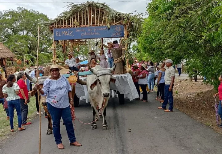 Este domingo, más de treinta delegaciones participación del desfile folklórico y de carretas en Natá. Foto: Diogenes Santamaría .