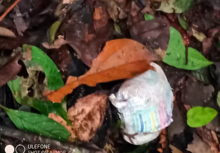 Fotografía cedida por las Fuerzas Militares de Colombia en la que se ve un pañal usado encontrado a 560 metros del lugar del siniestro aéreo del Cessna 206. EFE