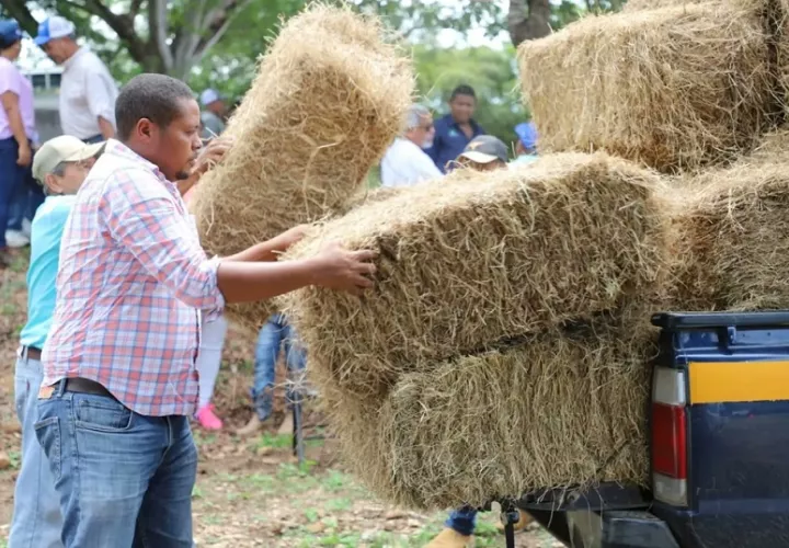 Un total de 30 pequeños productores coclesanos, afectados por la sobrecarga climática, recibieron ayudas de parte del Mida.