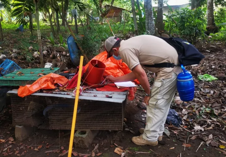 Las autoridades temen un aumento de casos. 