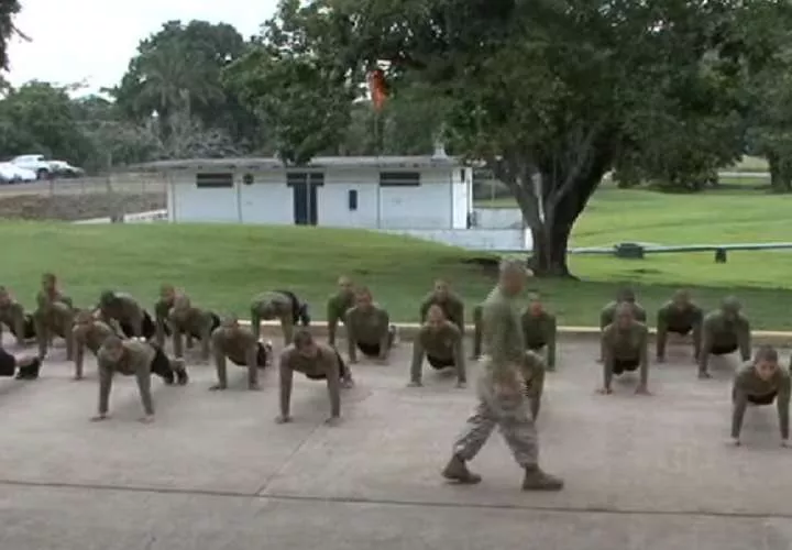 Fase de entrenamiento.