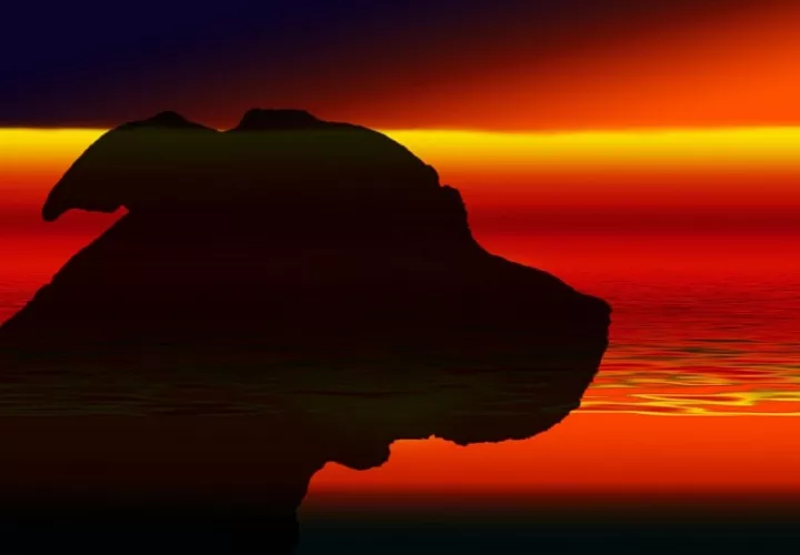 La niña fue dada de alta al día siguiente del ataque. Imagen ilustrativa / Pixabay