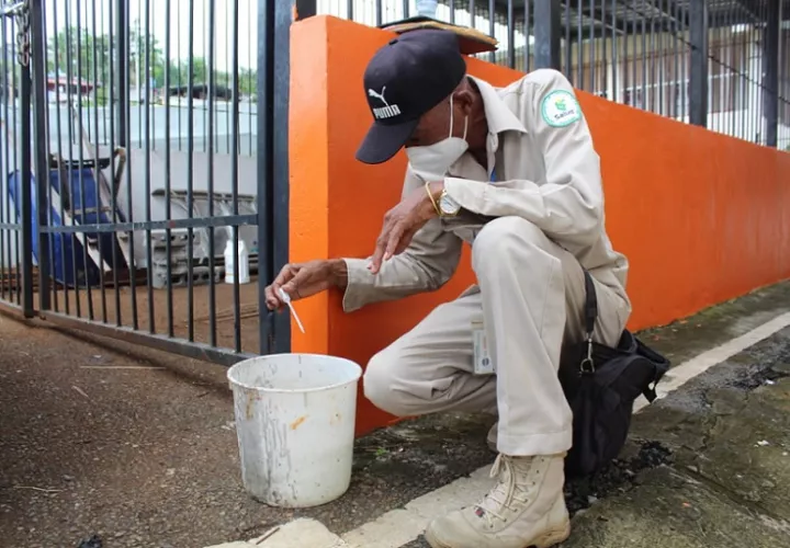 El Minsa realiza operativos en distintas barriadas para tratar de minimizar los casos de enfermedades transmitidas por mosquitos.