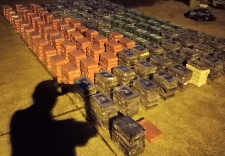 Los estupefacientes decomisados.