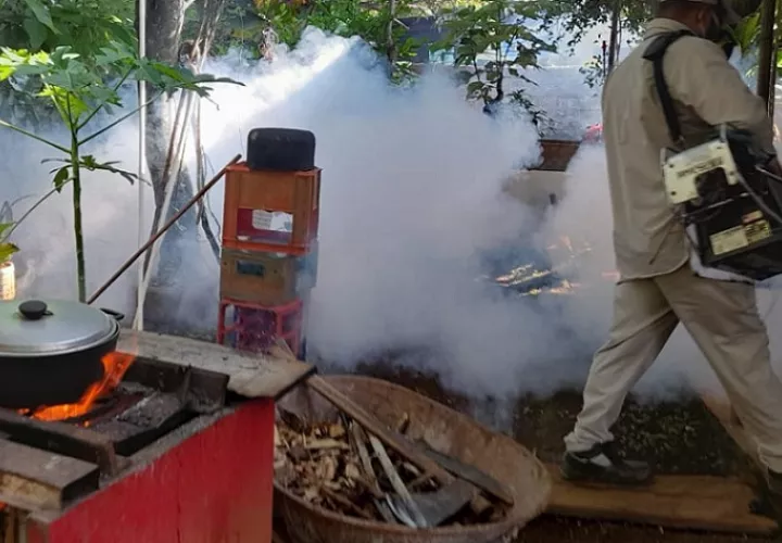 A medida que avanza la temporada lluviosa aumenta el número de posibles criaderos del mosquito transmisor del virus del dengue y de otras enfermedades.