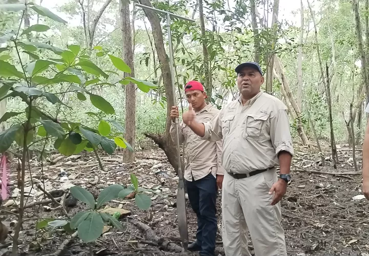 Técnicos e ingenieros explican sobre el muestreo en los manglares. 