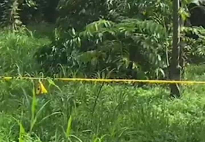 El cuerpo fue abandonado en un área de maleza.