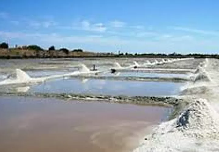 Salinas en el interior del país.