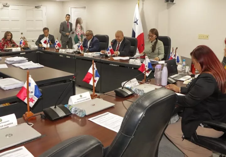 Comisión de Presupuesto de la ASamblea Nacional de Diputados