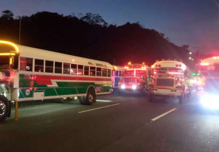 Caravana de buses por la autopista.