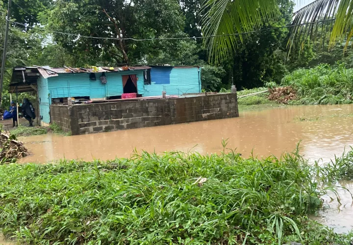 Caída de árboles y afectaciones en las residencias durante el mal tiempo 