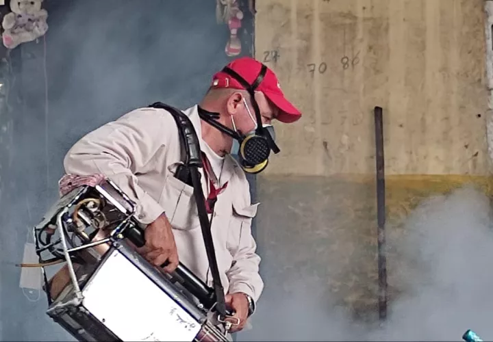 Dando guerra al mosquito 